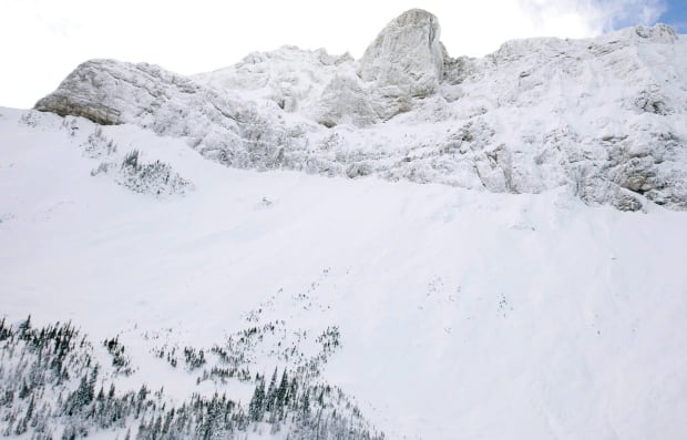 Avalanche Deaths