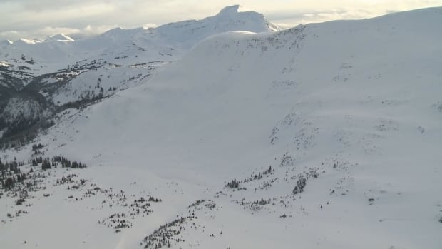 Mountains near McBride, B.C. - near where avalanche killed 5 men from Alberta
