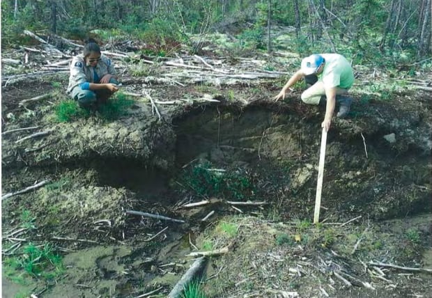 Mackenzie valley fibre line erosion