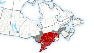 EC weather warnings
