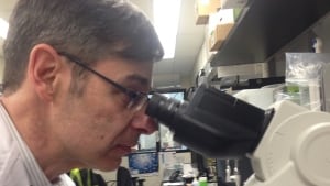 Dr. Mark Loeb