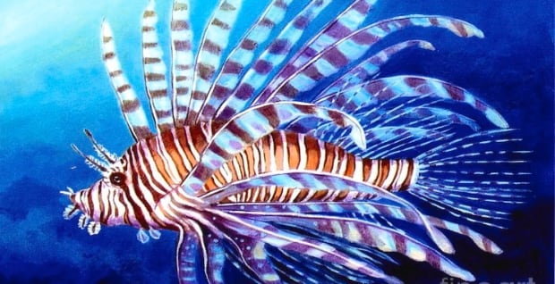 Lionfish
