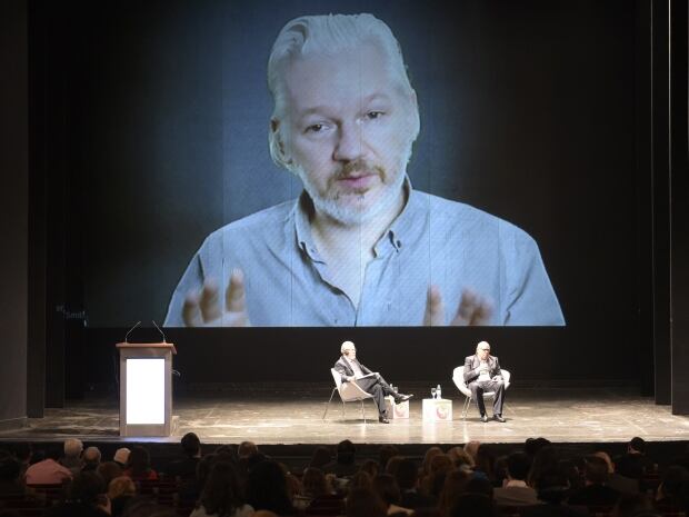 Assange video