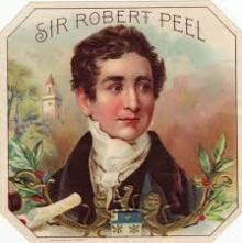 Robert peel nine principles essay