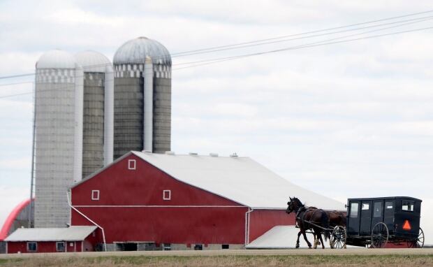 PEI Amish Colonies 20160204