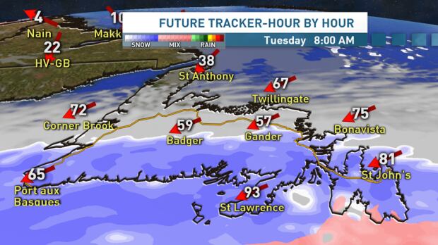 Ryan Snoddon Tuesday blizzard warning #nlwx