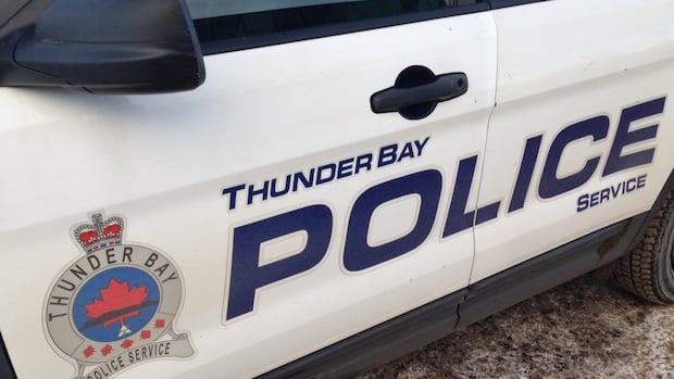 TBPS officer sentenced to probation after assault conviction