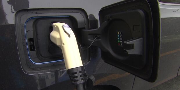 Electric car charging port