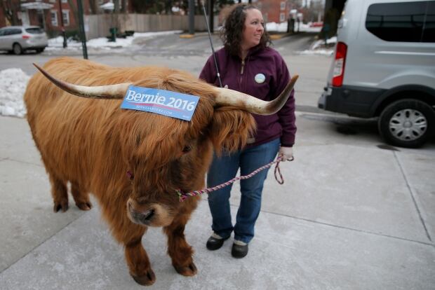 US-presidential ELECTION Bernie SANDERS steer Feb 8 2016