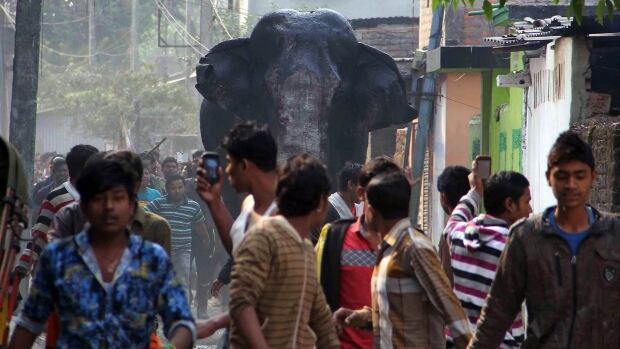 India Rampaging Elephant