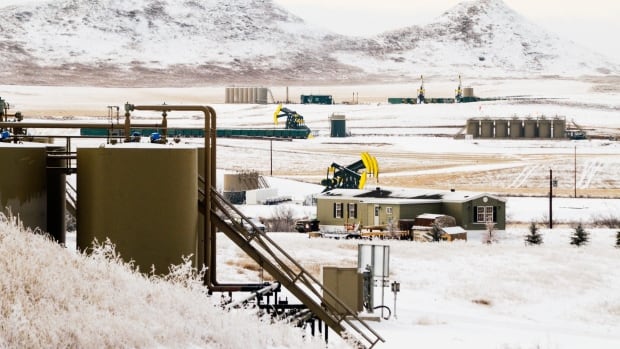 Saudi to launch $50bn renewable energy programme