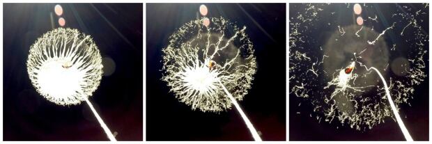 balloon burst collage