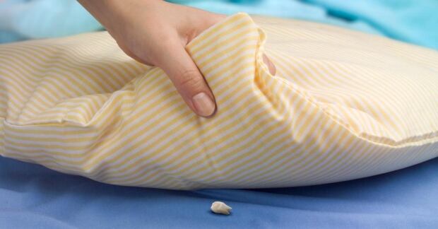 Tooth Fairy