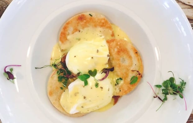 The nash duck perogies