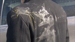 UberX driver egged