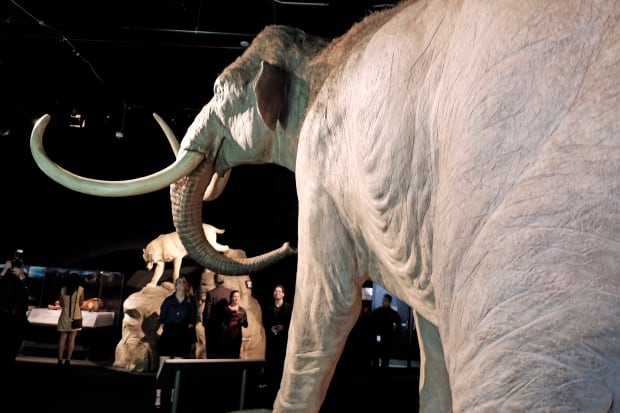 Columbian mammoth