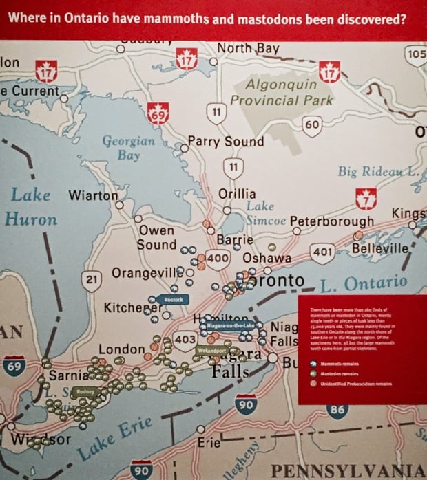 Mastadon map