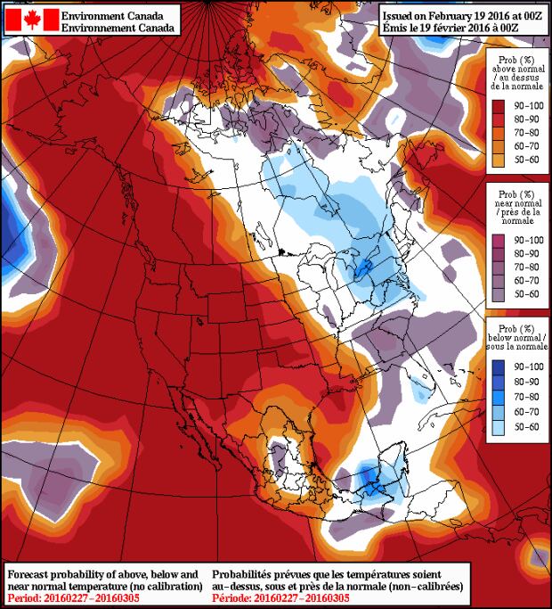 North American Ensemble Forecast System projection