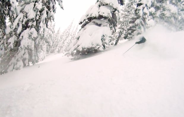 Fernie BC