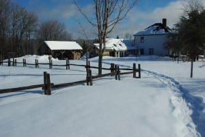 ho-holtville-farm