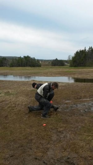 Robin Edwards Benjamin Horton salt marsh newfoundland