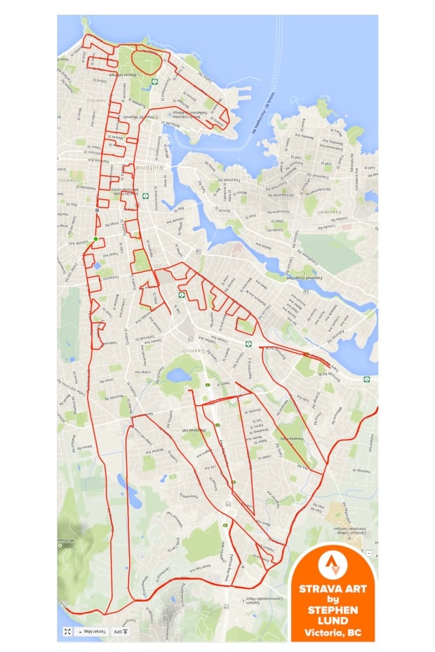 Stephen Lund GPS giraffe