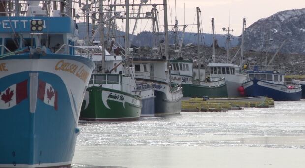 Shrimp boats Port de Grave