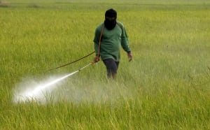 THAILAND-AGRICULTURE/