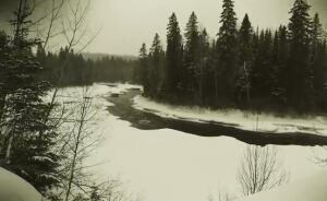 milieu river