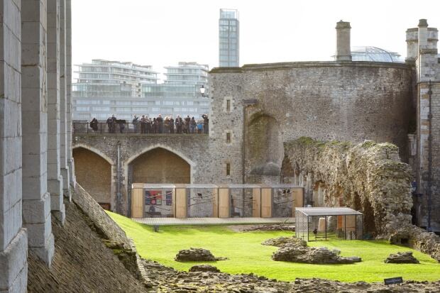 Tower of London - Raven habitat