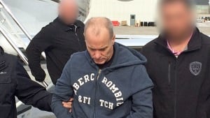 The Vaulter Arrest