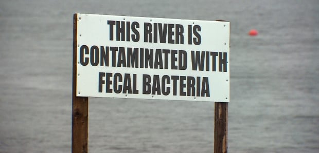 LaHave River, sewage, fecal bacteria