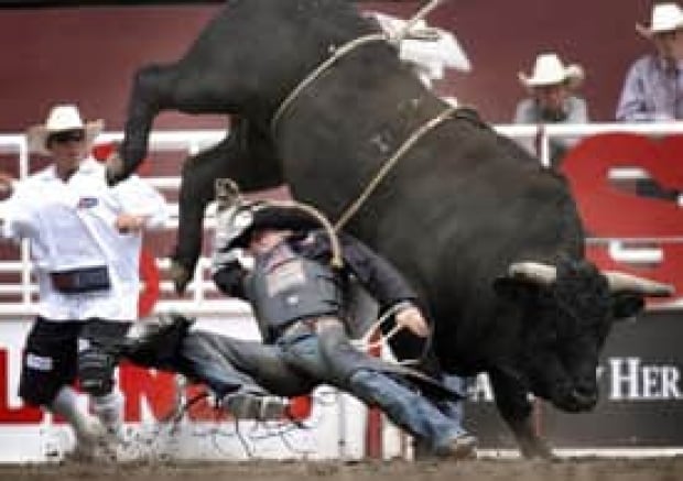 cgy-stampede-cp-6964991