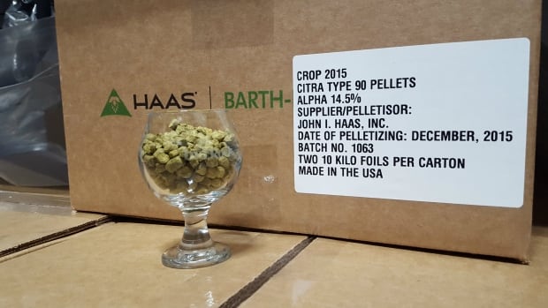 citra hops