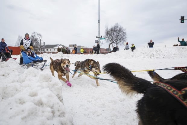 USA-IDITAROD/