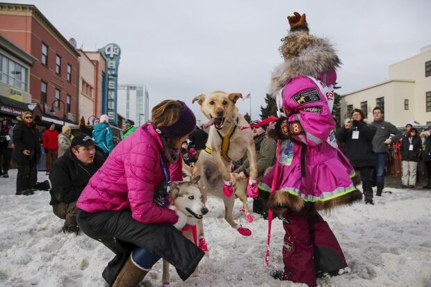 USA-IDITAROD/