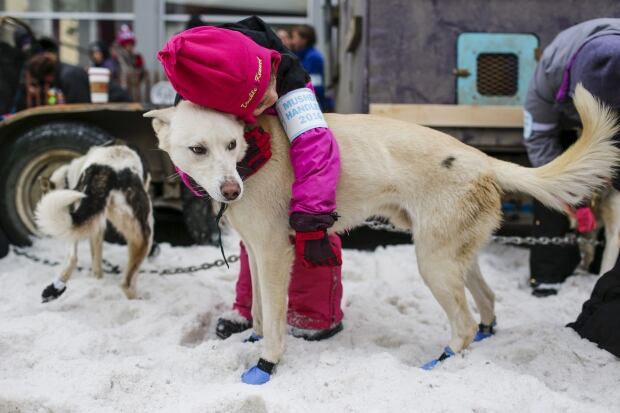 USA-IDITAROD/