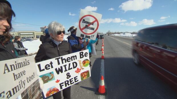 Papanack Zoo closure protest Sunday Wendover Ottawa March 6 2016