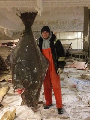 halibut