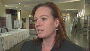Lisa MacLeod Ottawa MPP Nepean hospital Civic campus public consultation March 7 2016