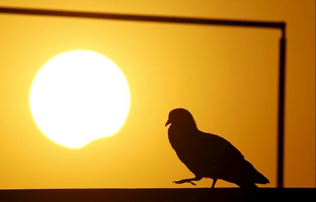 SOLAR-ECLIPSE/