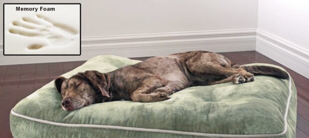 Doggie memory foam bed