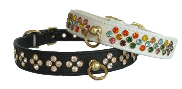 jewelled dog collar
