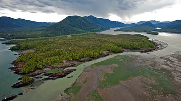 Court orders NEB to reconsider decision on TransCanada's $5bn pipeline project