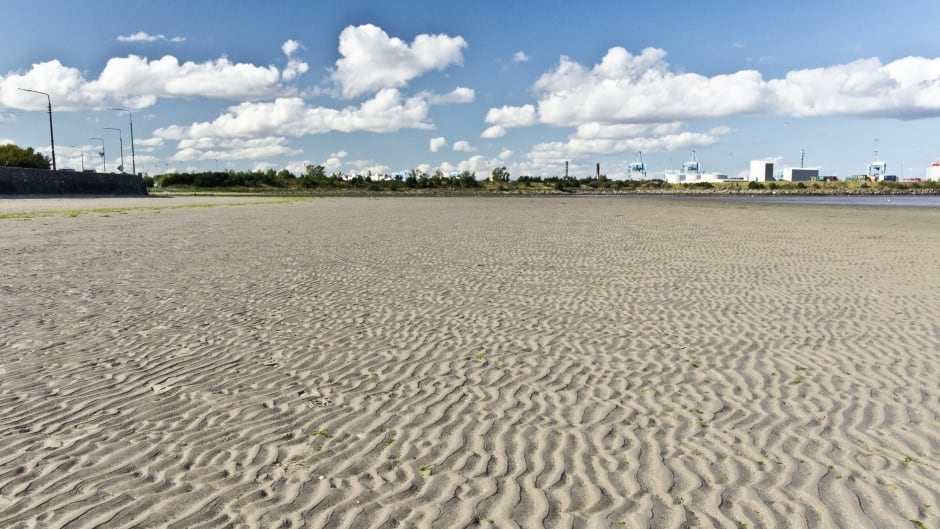 A Visit To Sandymount Strand