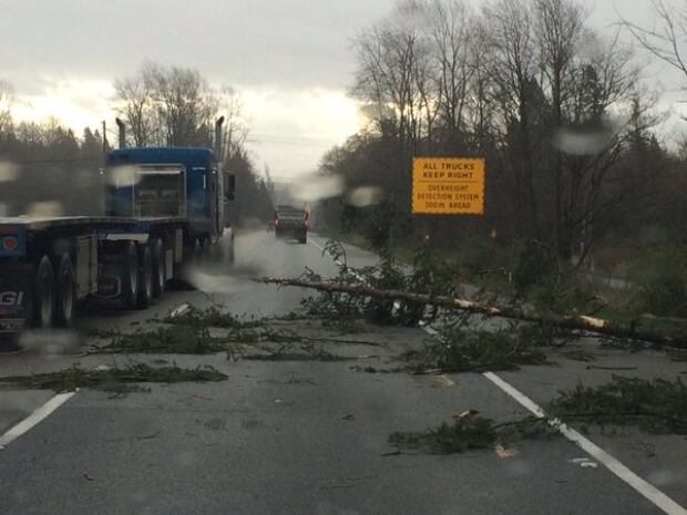 Trees down