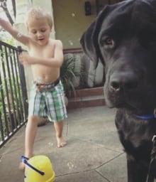 jedi-luke-diabetes-service-dog