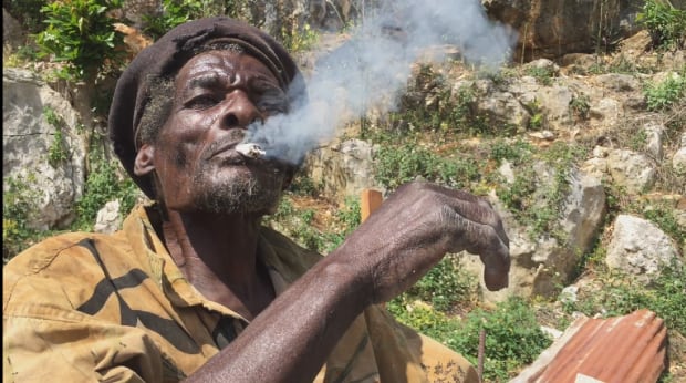 Jamaican smoking marijuana