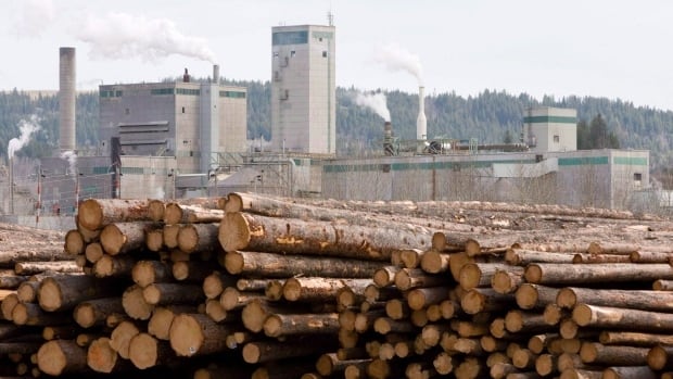 Softwood Lumber
