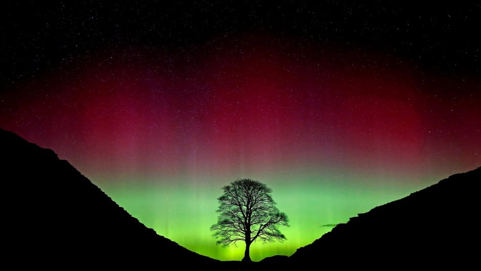 The Northern Lights shine over the Sycamore Gap at Hadrian's Wall in Northumberland, northeast England on Monday.